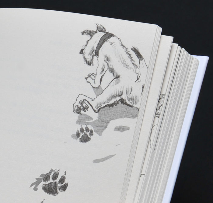 Keinerverstehtmich 5